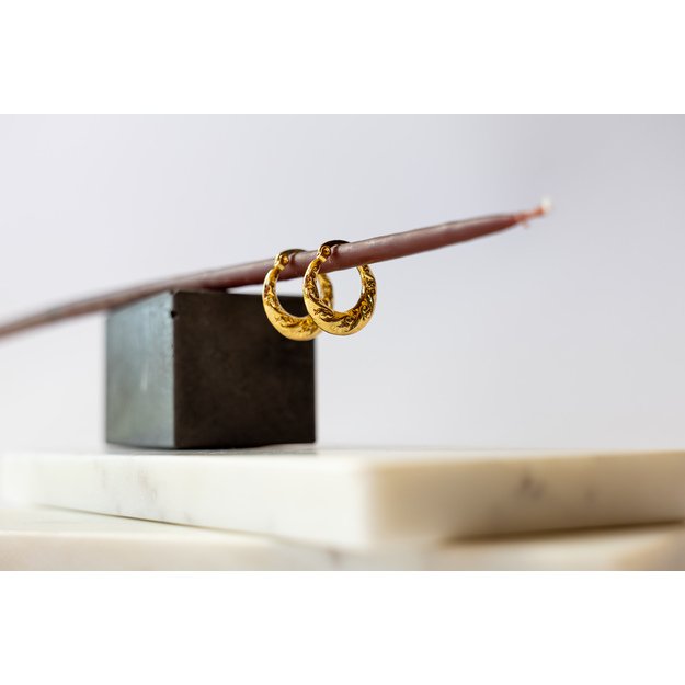 Paauksuoti auskarai ,,GOLDEN GLOW" 1