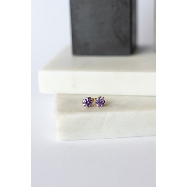 Žalvariniai auskarai, dengti auksu bei sidabru, puošti cirkonio akmenimis (5 mm)