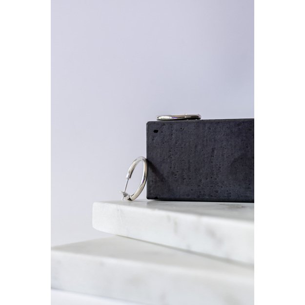 Žalvariniai auskarai dengti sidabru 